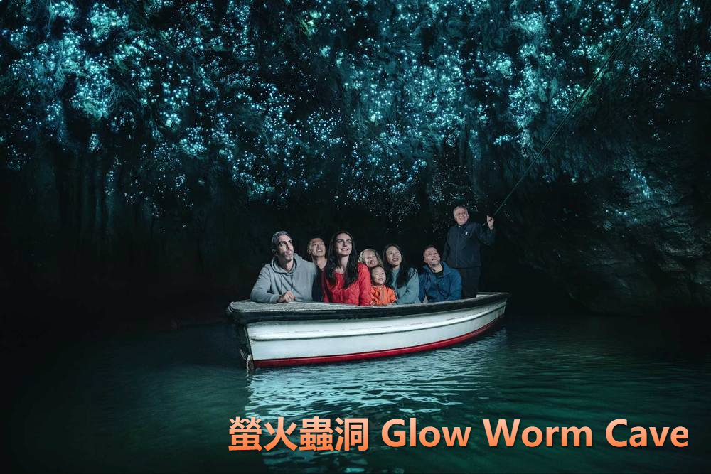 WaitomoGlowwormCavesTour.jpg