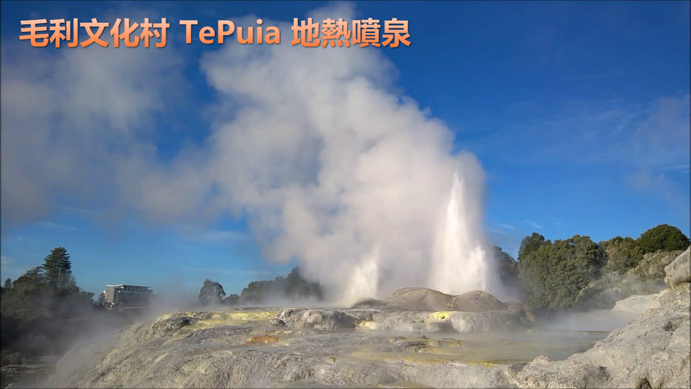 TePuia Geothermal Wonders.jpg